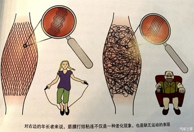 为啥买麦瑞克NEX筋膜枪？深度体验与购买理由